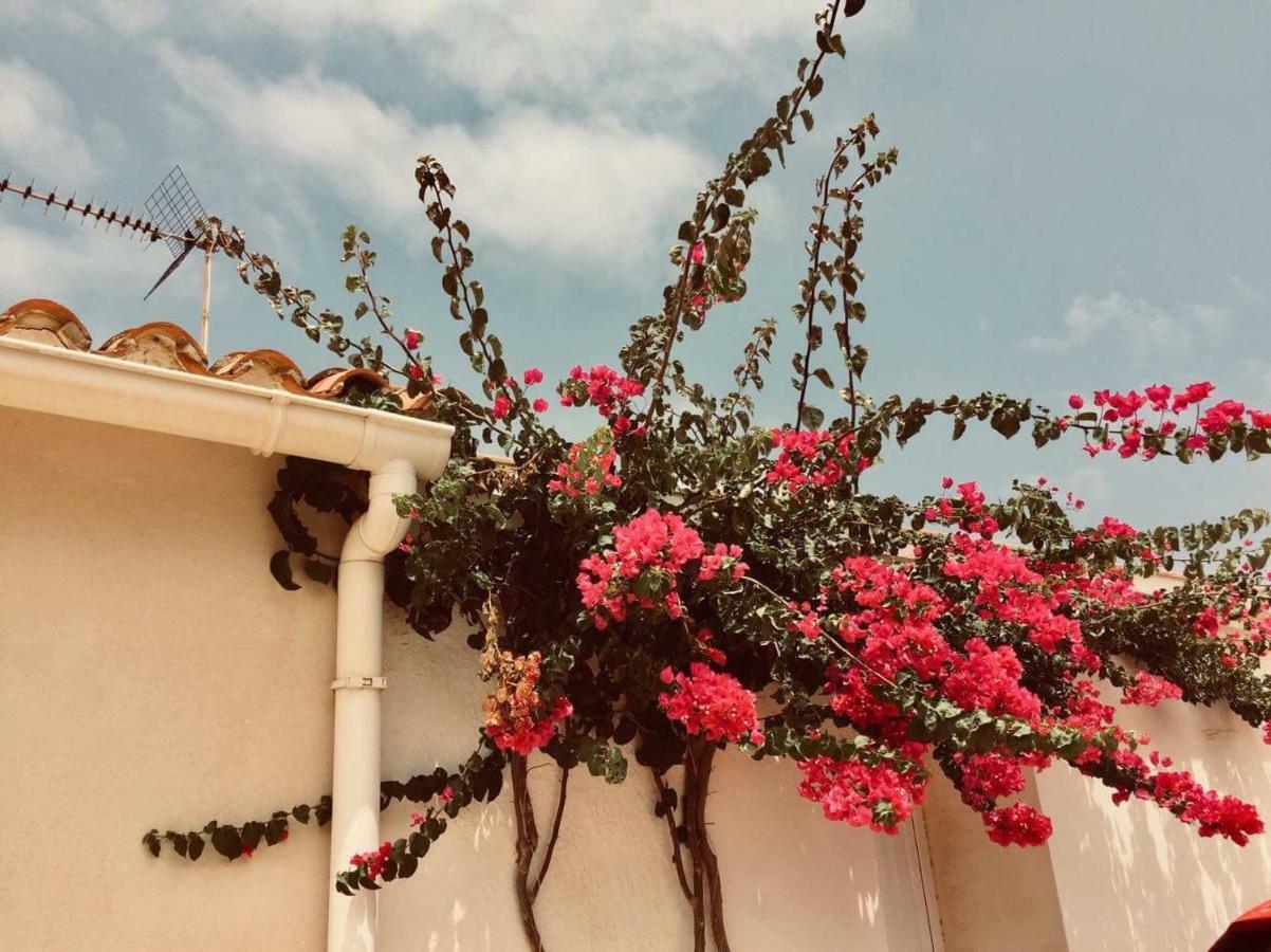 Lovely Apartment Old Town Denia Exterior photo